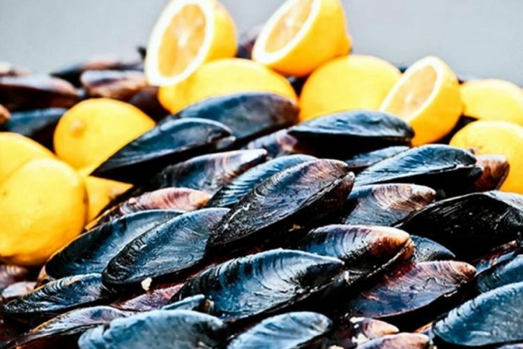 Midye tehlikesi! Y&uuml;zde 30 oranında &ouml;l&uuml;m tespit edildi