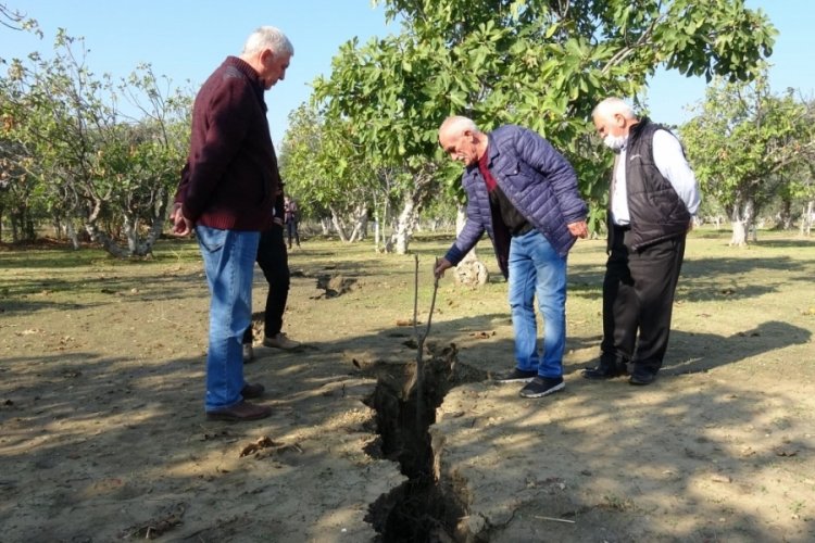 Aydın Germencik'te yağış sonrası oluşan &ccedil;atlaklar tedirgin etti