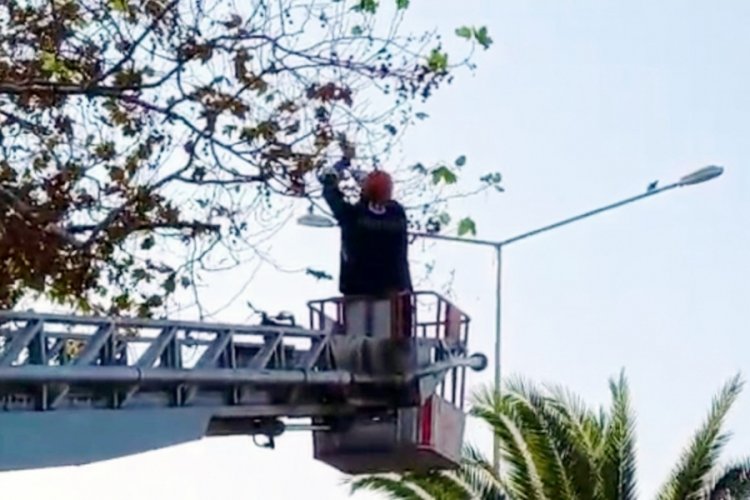Bursa Mudanya'da ayağına misina dolanan g&uuml;vercin kurtarıldı