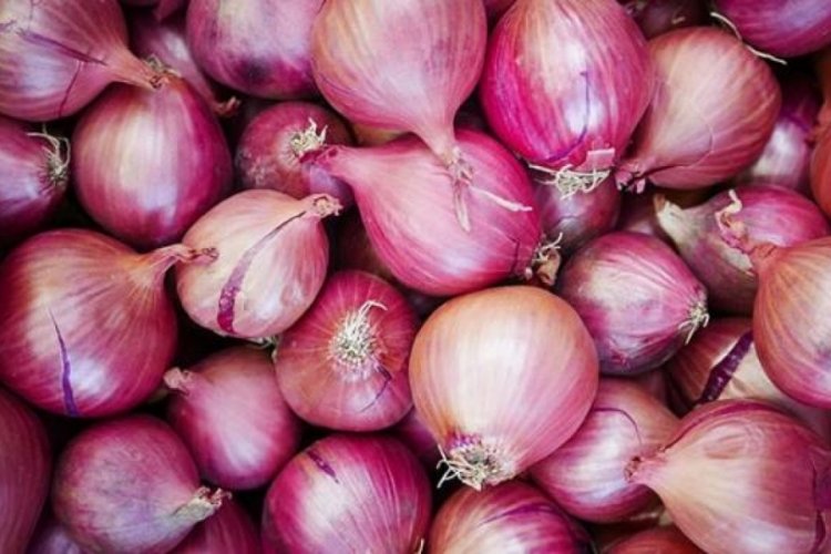 Salmonella vir&uuml;s&uuml; paniği! Kırmızı soğandan bulaşıyor