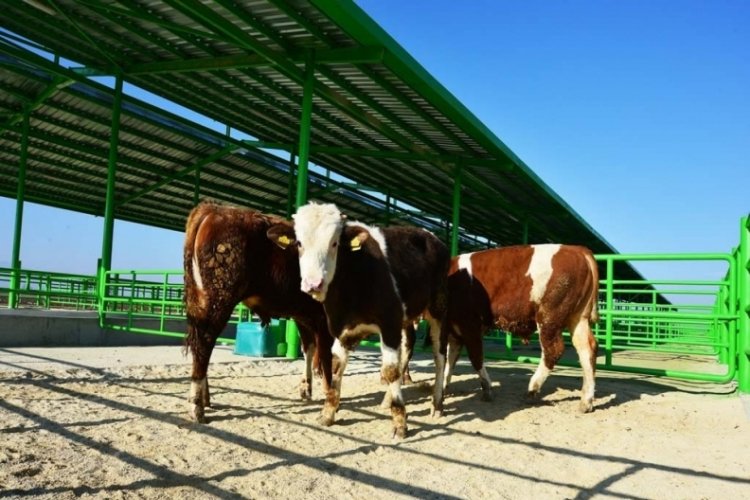 Bursa'da en b&uuml;y&uuml;k hibe desteği Karacabey'e