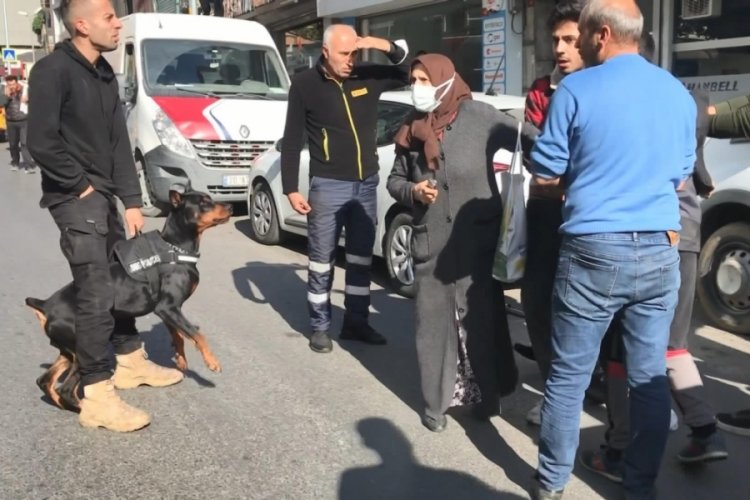 İstanbul Şişli'de telefonunu &ccedil;aldığı ağabeyinden ka&ccedil;tı; k&ouml;pekli m&uuml;dahaleden ka&ccedil;amadı&nbsp;