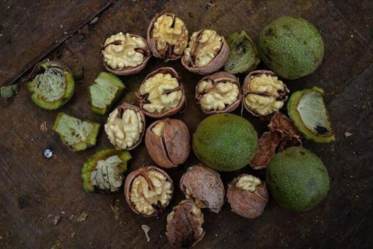 T&uuml;rkiye'de cevizde &uuml;retim kadar t&uuml;ketim de artıyor