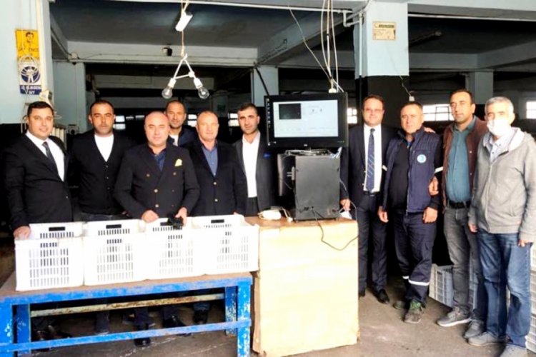 Marmarabirlik a&ccedil;ıkladı: Bursa'da zeytin alımı başladı