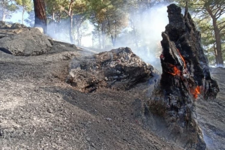 Kazdağları'ndaki yangın kontrol altında!