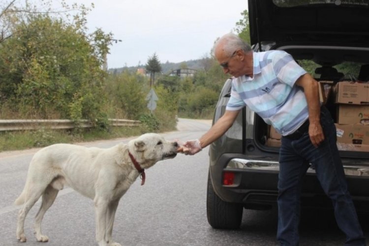 Bursa Uludağ'daki aç hayvanların babasından duygusal veda