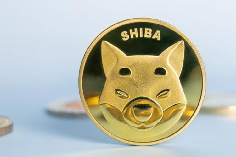 Kripto para piyasaları Shiba Inu'yu izliyor!
