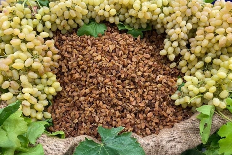 Kuru &uuml;z&uuml;m ihracat&ccedil;ıları doğrudan satışa odaklandı
