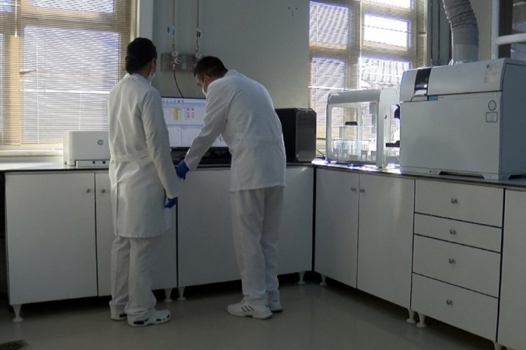 Bursa'da Mehmet&ccedil;iğin sağlığı bu laboratuvara emanet