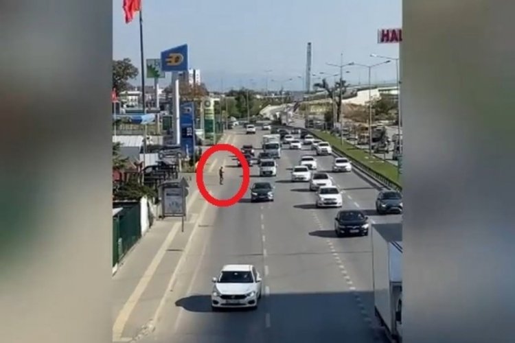 Bursa'da vızır vızır ge&ccedil;en ara&ccedil;ların arasında canını hi&ccedil;e saydı
