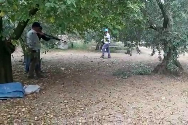 Bursa'da zeytin toplayan aileye yılan saldırdı