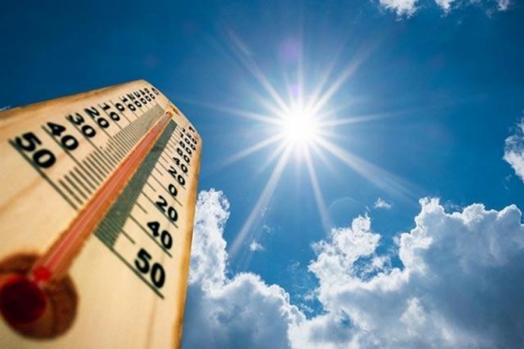 D&uuml;nya Meteoroloji &Ouml;rg&uuml;t&uuml;'nden korkun&ccedil; rapor: Son 7 yıl en sıcak yıl olacak