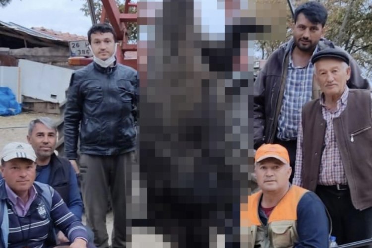 Bursa'da 400 kiloluk domuzu vurdular! 'Bu kesin haber olur' dediler