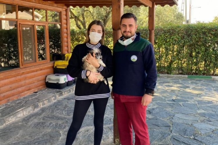 Bursa Osmangazi'de can dost sıcak yuvaya kavuşturuldu