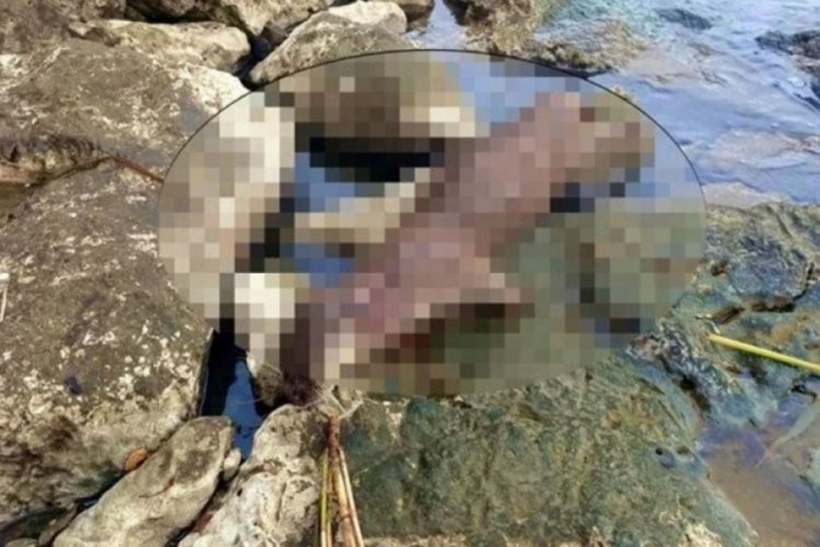 Koruma altındaydı! Su samuru t&uuml;fekle &ouml;ld&uuml;r&uuml;ld&uuml;