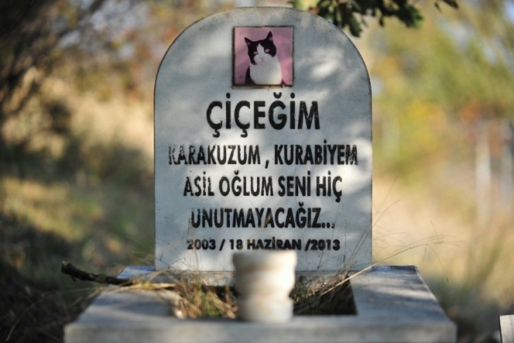 Bursa'da evcil hayvan mezarlığında duygulandıran yazılar