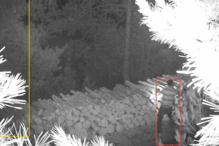 Denizli'de ormandan odun &ccedil;alarken fotokapana yakalandı