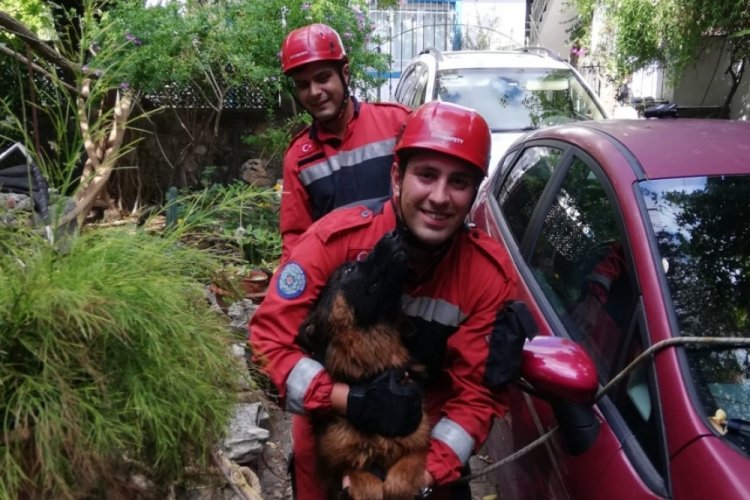 Muğla'da kuyuya d&uuml;şen k&ouml;peği itfaiye kurtardı