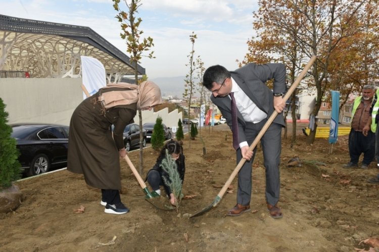 Yeniden yeşil Muğla i&ccedil;in g&uuml;&ccedil; birliği