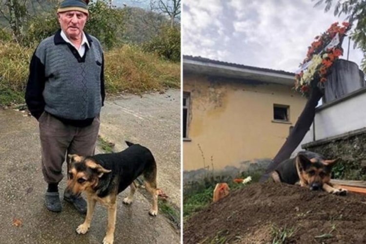 &Ouml;len sahibinin mezarının başından ayrılmıyor