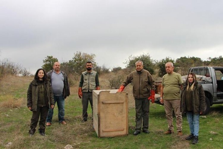 Arazide bulundu, hemen tedaviye alındı
