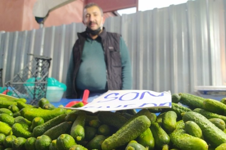 Bursa'da antioksidan kaynağı son kornişonlar