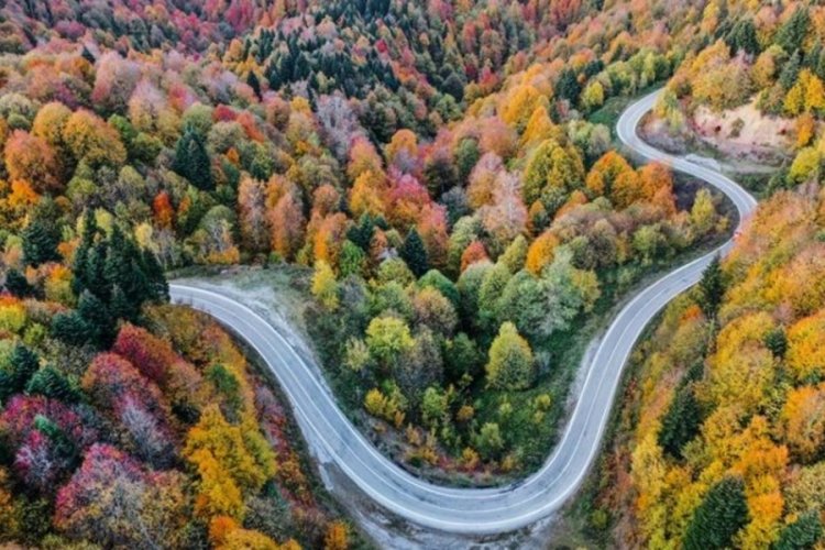 &Ccedil;am Dağı'nda renk c&uuml;mb&uuml;ş&uuml; yaşandı