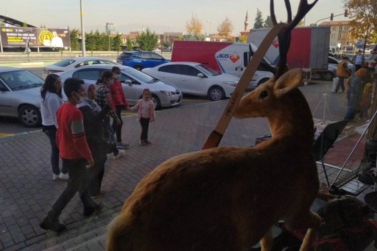 Bursa'da o d&uuml;kk&acirc;na gidenleri geyikler ve &ccedil;italar karşılıyor