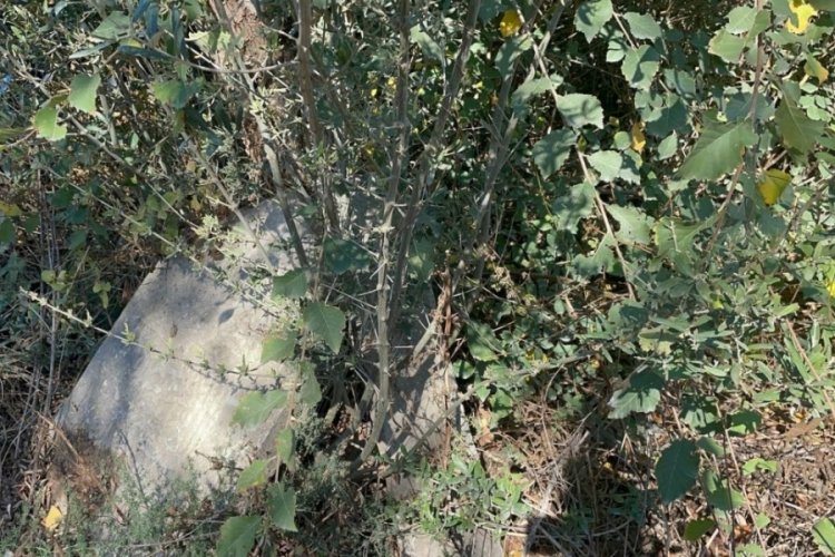 Bursa'da karton toplayıcısı Osmanlı eserleri buldu