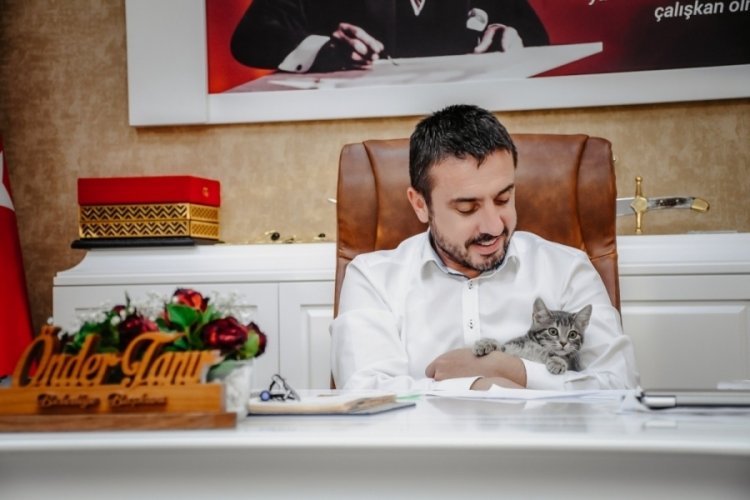 Bursa'da o kedi, Kestel Belediyesinin neşesi oldu