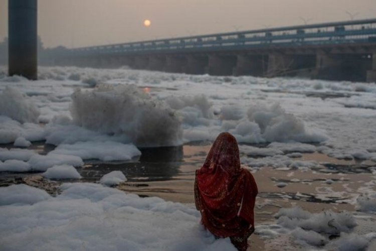 Yamuna zehirli k&ouml;p&uuml;kle kaplandı, yine de...