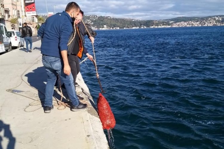 Ka&ccedil;ak avlanan 2 bu&ccedil;uk ton midyeye el konuldu