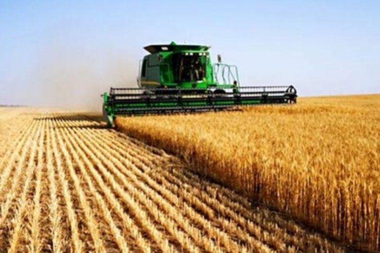Tarım ve balık&ccedil;ılığa kredi desteği 150 milyar lirayı aştı