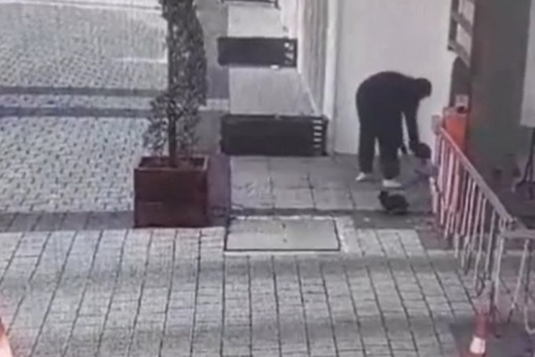 Bursa'da hayvanların su ve mama kaplarının &ccedil;alınması kamerada