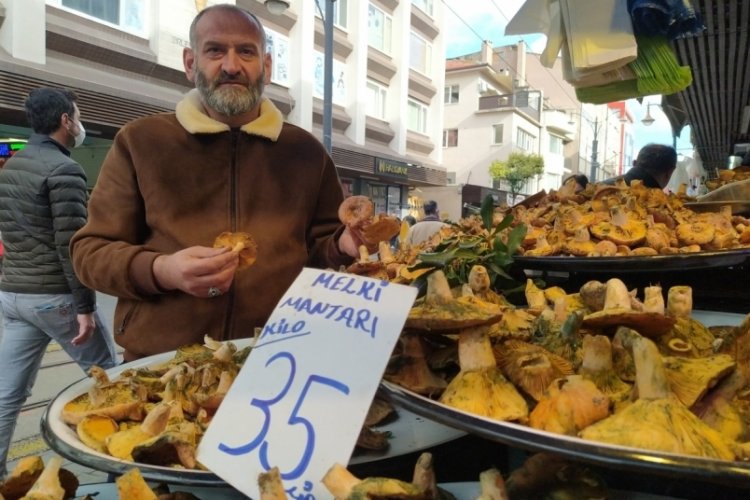 Bursa'da Uludağ ormanlarında yetişiyor! "İnsanlar zehirli sanıp korkuyor, faydaları..."