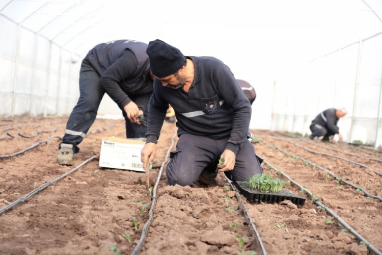 Bursa'da ucuz sebzeler Gemlik Belediyesi'nden
