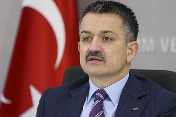 Bakan Pakdemirli: 2021 yılında zeytinyağı &uuml;retimi 236 bin tona ulaşacak