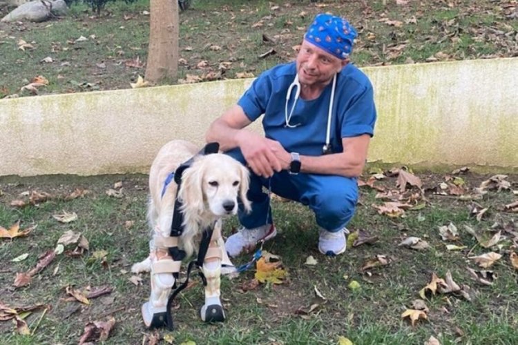 T&uuml;fekle vurulup bacakları kesilen Pamuk'a protez bacak takıldı