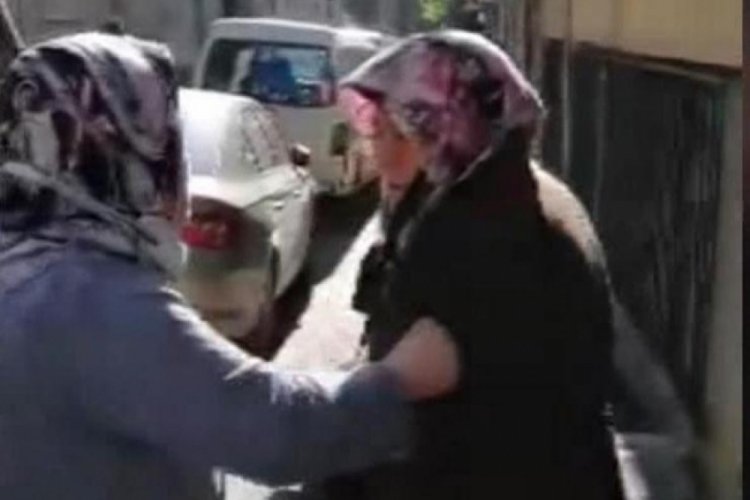İstanbul'da bir kadın sokak hayvanlarını &ccedil;amaşır suyu vererek zehirliyor