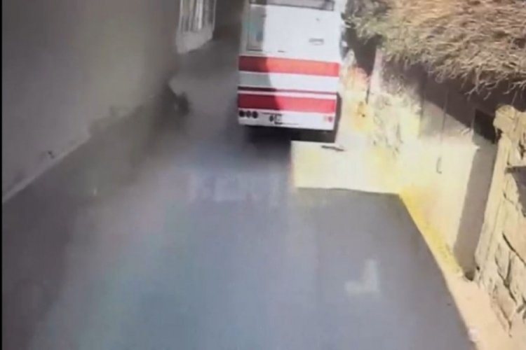 Sokak k&ouml;peğine &ccedil;arptı, arkasına bile bakmadan gitti