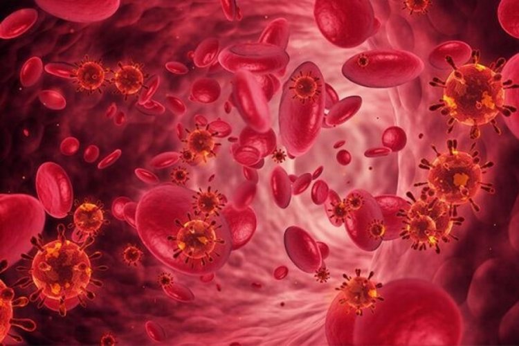 HIV bir kadında kendi kendine yok oldu!