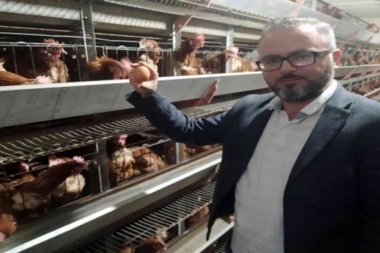 Bursa'da yumurta &uuml;reticileri tedbir alınmazsa batacak