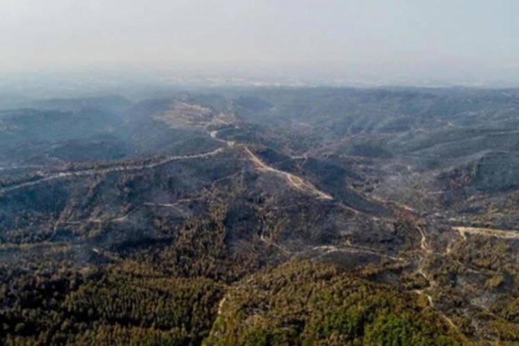 Orman yangınları i&ccedil;in korkutan tahmin! İşte T&uuml;rkiye'nin riskli b&ouml;lgeleri