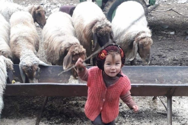 M&uuml;sl&uuml;me sır oldu! Ekipler 100'e yakın kişinin ifadesini aldı