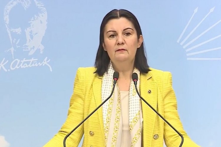 CHP'li Lale Karabıyık: T&uuml;rkiye'nin geleceği eğitimdedir