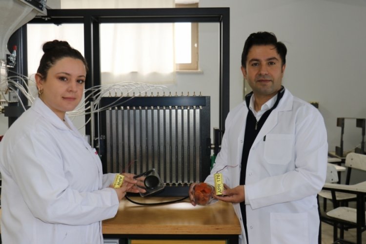 Bilim insanları kayısıdan roket yakıtı &uuml;retti