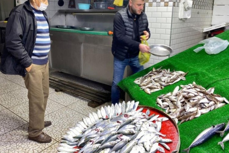 Balık halinde &ccedil;inakopun fiyatı y&uuml;kseldi