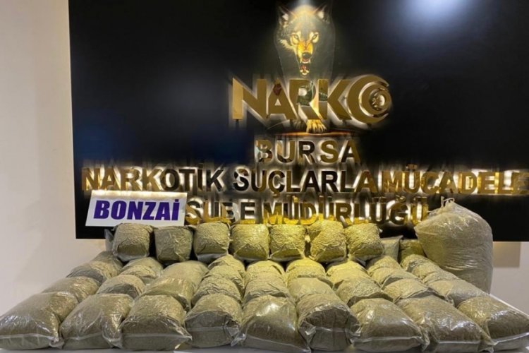 Bursa'da uyuşturucu operasyonu! 58 kilo bonzai ele ge&ccedil;irildi