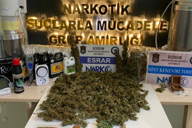 Bodrum'da uyuşturucu operasyonu: 1 kişi g&ouml;zaltında