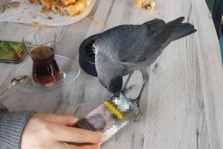 Bursa'da tiryaki karga m&uuml;şterilerin sigaralarını &ccedil;alıyor